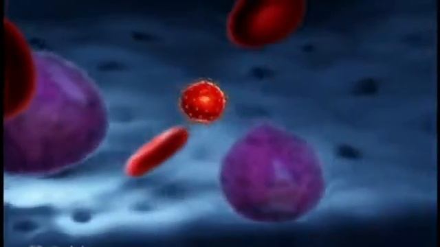 HIV replication _ Репликация ВИЧ смотреть онлайн