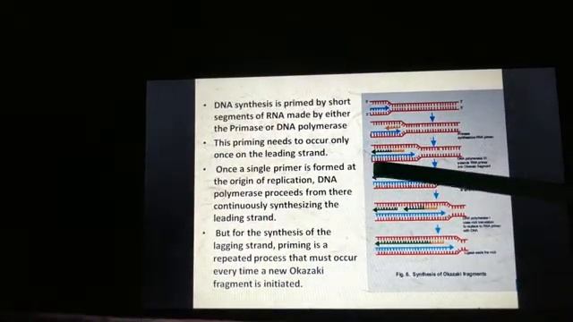 Class 11 Biotechnology Chapter- Genes and genome: Structure and Function part 8 смотреть онлайн