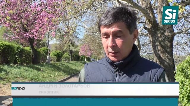 Погода на тиждень в Закарпатті смотреть онлайн