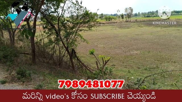 2 Sides BT Road 2 వైపుల BT Road 2nd Bit,25 లక్షలు మాత్రమే, 30 ఎకరాలు అమ్మకానికి ఉంది смотреть онлайн