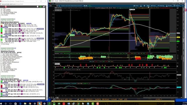 TTG Market & Option Recap Video 3 22 17 смотреть онлайн