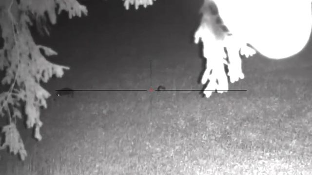 Pulsar Digex N455 - hunting wild boar 60m смотреть онлайн