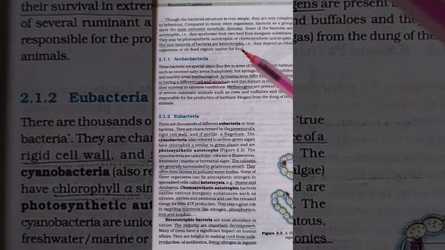 Biological classification/Bacteria/NEET/Class-11/Points u should not miss/ध्यान दो 😌 смотреть онлайн