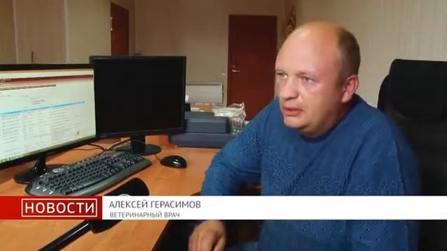 Электронная сертификация смотреть онлайн