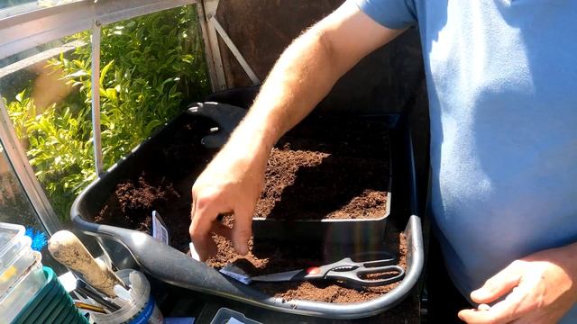 June Sowing | Part 1 | Greenhouse Sowing | Furrow Sowing | Multi Sowing | Green Side Up смотреть онлайн