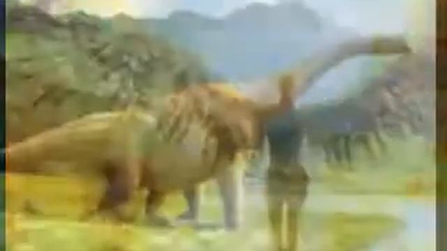 создание локальной сети видео смотреть онлайн