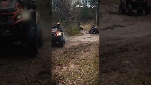 Это не кусок железа -это ПСИХОЛОГ! #atv #квадроциклы #brp #aodes #guepard смотреть онлайн