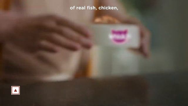 Whiskas Tasty Mix Food for Your Cats смотреть онлайн