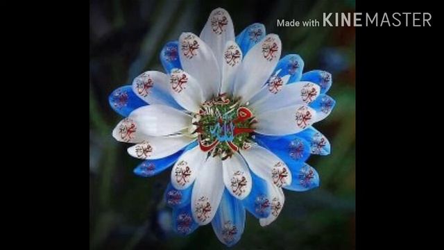 Surat Hud ( Худ сураси )