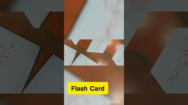 𝘁𝘆𝗽𝗲𝘀 𝗼𝗳 𝗤𝘂𝗮𝗱𝗿𝗶𝗹𝗮𝘁𝗲𝗿𝗮𝗹 смотреть онлайн
