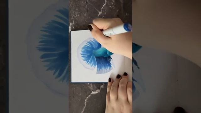 Неожиданно уже целая коллекция с рыбами петушками собирается 🩵 #art #painting #drawing #markers смотреть онлайн