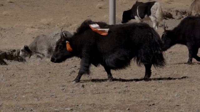 Экспедиция Восход. Последний рубеж. смотреть онлайн