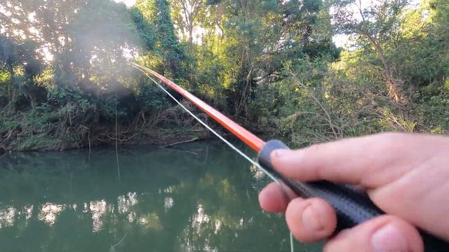 fly fishing for carp (nymphing carp and berry eaters) смотреть онлайн
