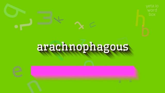 ARACHNOPHAGOUS - HOW TO PRONOUNCE IT? #arachnophagous смотреть онлайн