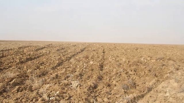 КҮЗДІК БИДАЙ ӨСІРУДІҢ ЖАҢА ТЕХНОЛОГИЯСЫ смотреть онлайн