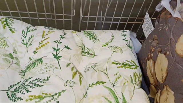 Веселье и Исследования