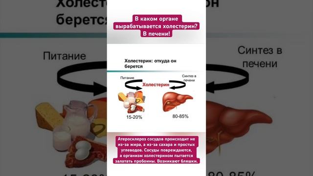 Откуда берётся холестерин смотреть онлайн