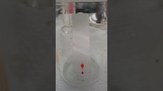 Thin Layer Chromatography in Action смотреть онлайн