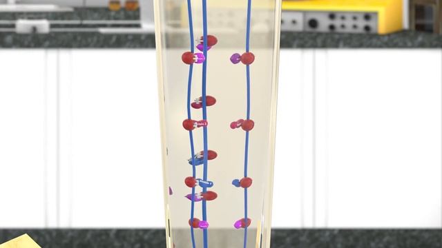 Anion Exchange Chromatography - Ion Exchange Chromatography