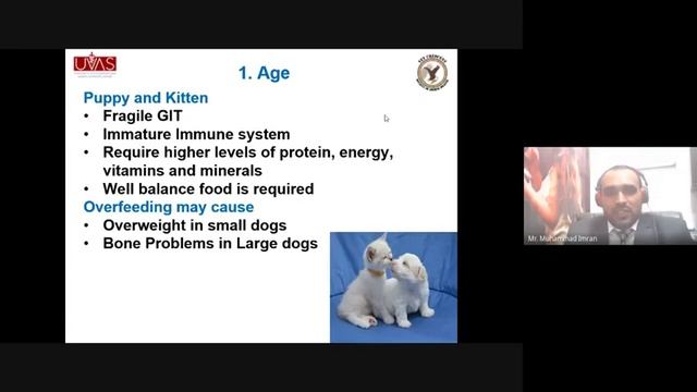 Basics Of Pet Nutrition And Pet Food Available In Market | Online Session | Dr. Imran Leghari | VCS смотреть онлайн