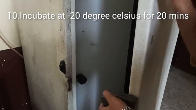 DNA Isolation from Mint leaves смотреть онлайн