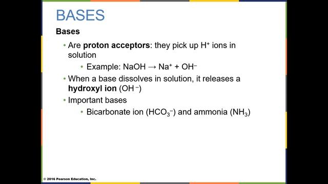 AP1 Lecture BIOL 201 A11 September 13, 2021 смотреть онлайн