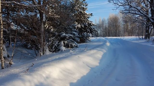 Будущее уже перед вами. Метаморфоза человечества и человеческого сознания смотреть онлайн