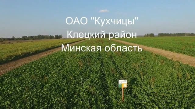 Конвизо Смарт смотреть онлайн
