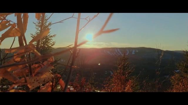 LG V30 cinematic test + Feiyu Vimble 2 gimbal (edited on IPAD 2018 with Lumafusion) смотреть онлайн