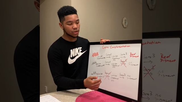 Gene Complementation смотреть онлайн