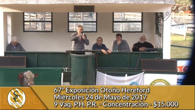 24-05-17 - Venta de Vaq. PH. P.R. - Concentración - 67º Expo. Hereford - Tandil смотреть онлайн
