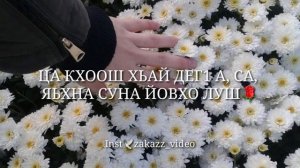 Баркалла🌹са хаза хьоме НАНА