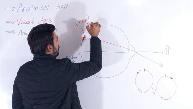 Anatomical Axis, Visual Axis and Angle kappa смотреть онлайн