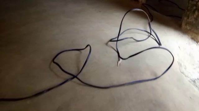কেৰাচিন তেলৰ | electricity flow through kerosine oil experiment | experiment video in assamese смотреть онлайн
