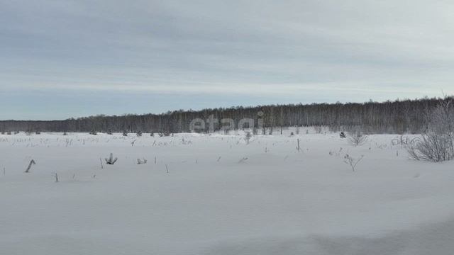 10678276 смотреть онлайн