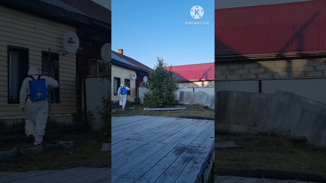 АКАРИЦИДНАЯ ОБРАБОТКА от клещей, комаров и т.д. / ХМАО / ЦИПЕРМЕТРИН / смотреть онлайн