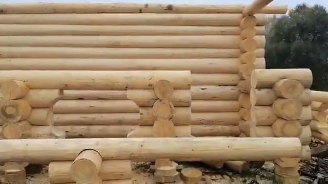 Продается готовый сруб 6 на 6 в чашу с террасой смотреть онлайн