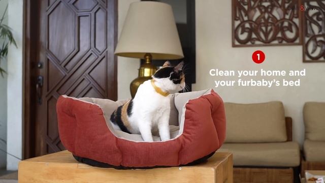 How to Safely Remove Unwanted Pet Pests Like Ticks and Fleas смотреть онлайн