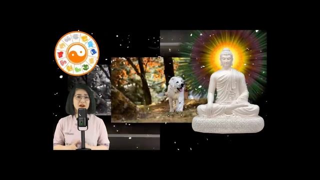 Tử vi ngày 28/4/2024 tuổi Tuất - Vận trình tuổi Tuất trong ngày hôm nay sẽ ra sao? смотреть онлайн
