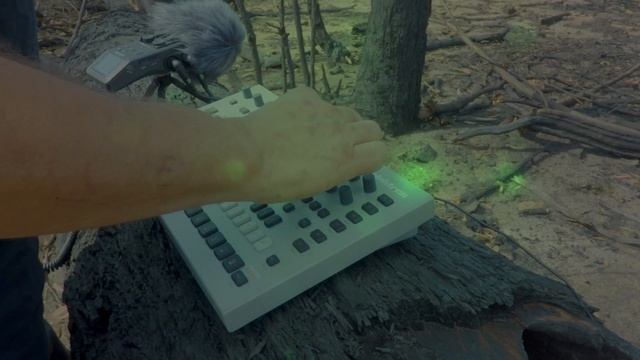 FALLEN BLACK TREE: Outdoor jam on Elektron Analog Four mk2 - abridged, distorted EDM industrial aci смотреть онлайн