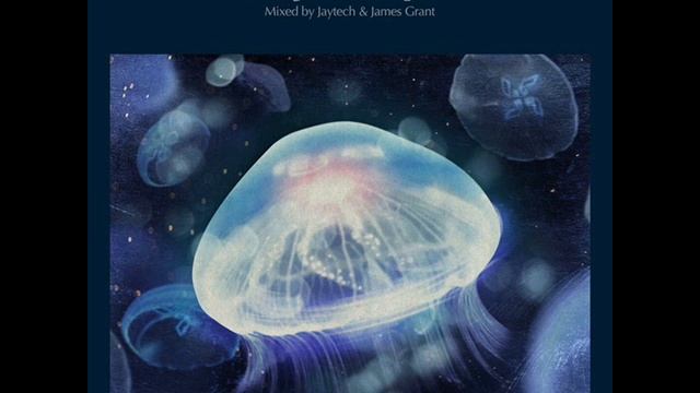 Anjunadeep 02 (CD 2) Mixed By Jaytech & James Grant