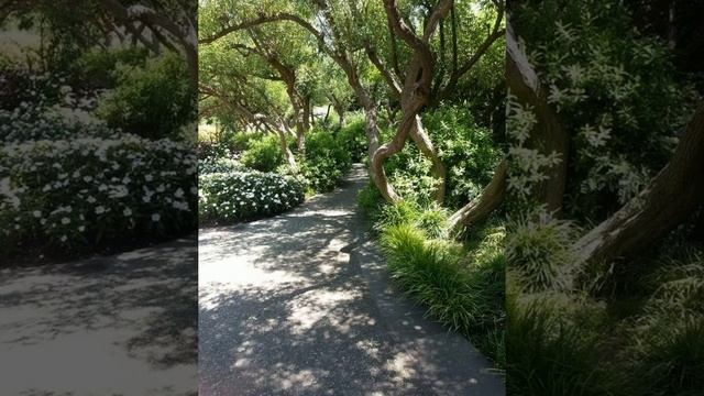 Jardín Botánico en los EE.UU. смотреть онлайн