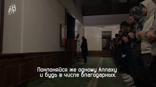Не ценили они Аллаха должным образом | Ахмад Анчихский смотреть онлайн