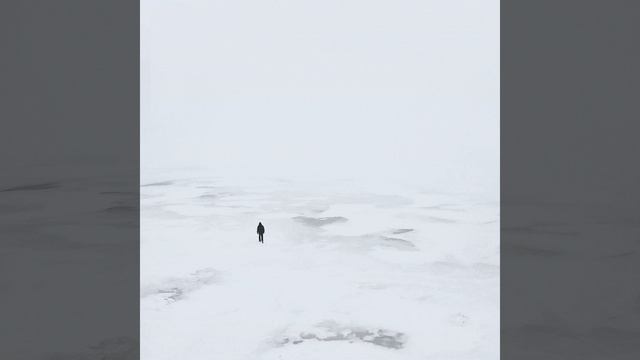 Polar смотреть онлайн