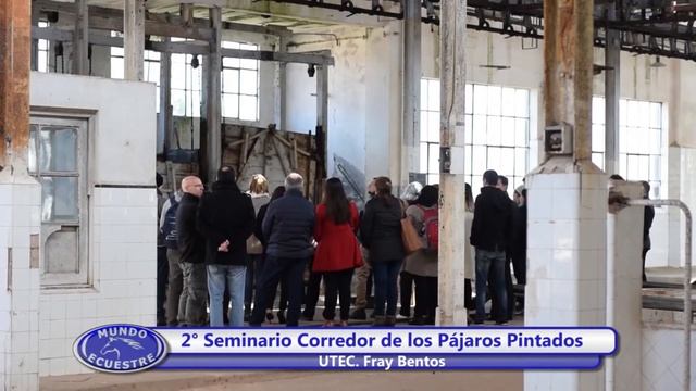 Corredor Pajaros Pintados ( 2do Seminario) Bloque en Mundo Ecuestre смотреть онлайн