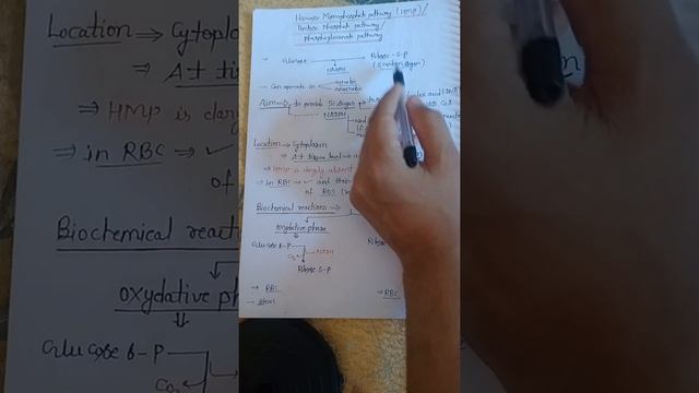 HMP pathway смотреть онлайн