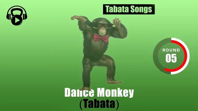 Tabata Songs - Dance Monkey W Tabata Timer смотреть онлайн