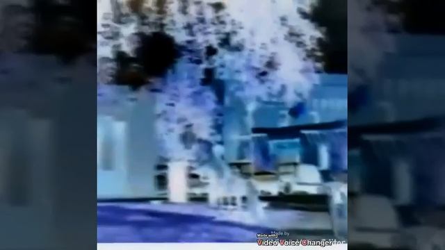 Baby Einstein Baby's Favorite Places First Words Around Town 2006 Opening In G Major смотреть онлайн