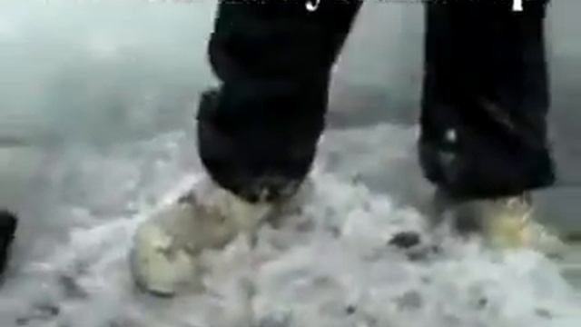 Останки древнего животного на севере. смотреть онлайн