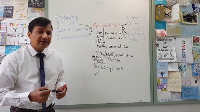 Propionyl CoA Sources смотреть онлайн